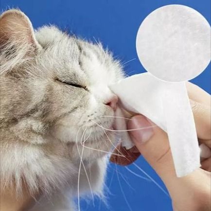PET extergimus pannum, Gadgets pro pet Hypiene curare